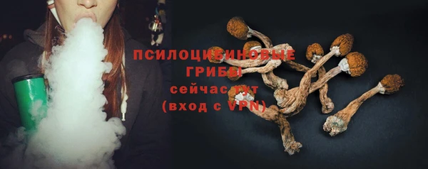 тгк Алзамай