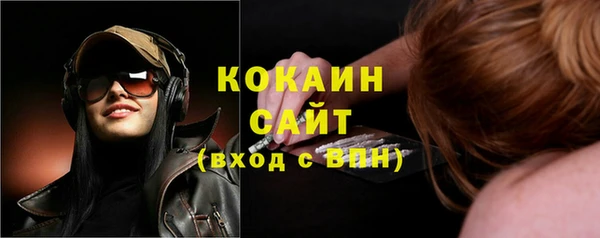 тгк Алзамай