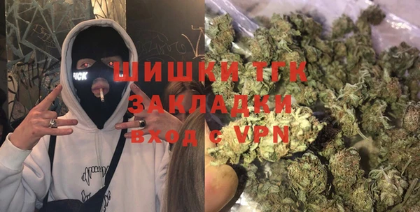 тгк Алзамай