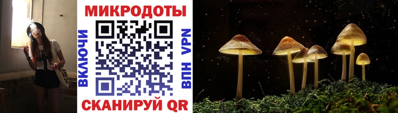 купить наркотик  Ивангород  Галлюциногенные грибы прущие грибы 